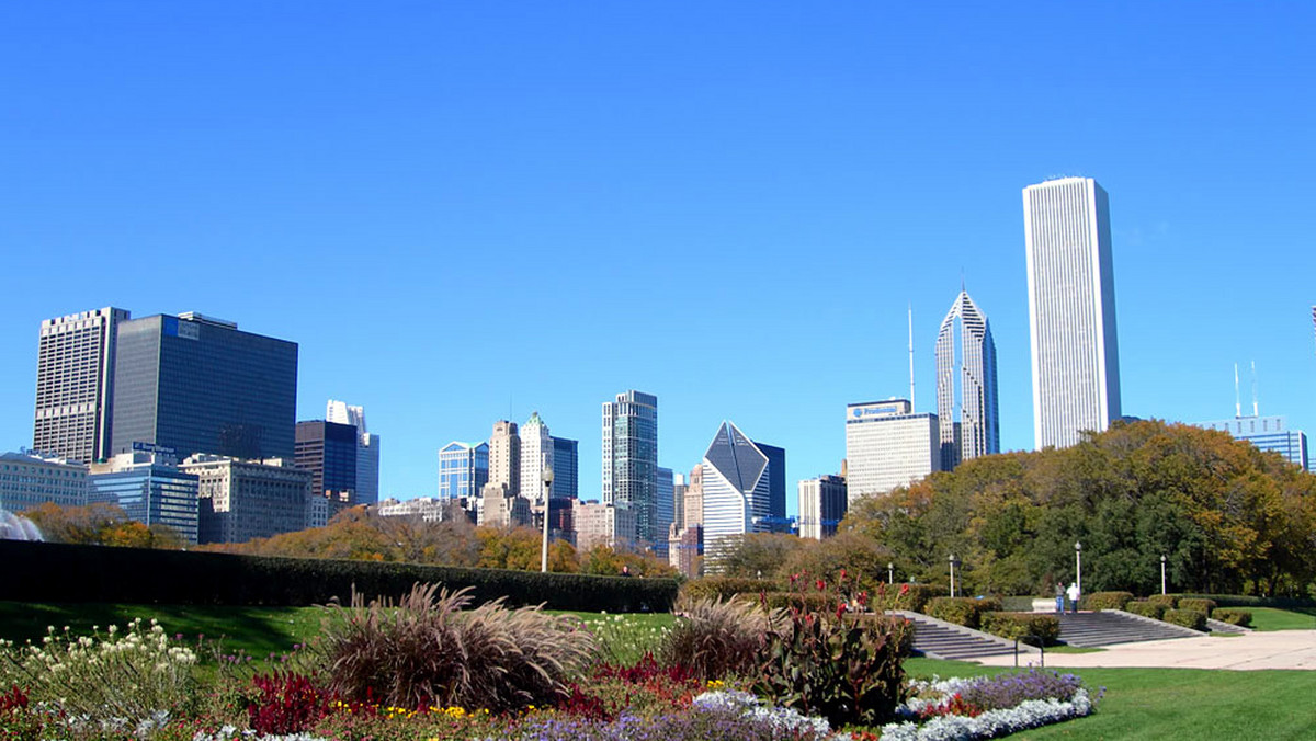 Gigantycznych rozmiarów oko można oglądać w centrum Chicago. Autorem rzeźby-instalacji jest Tony Tasset, artysta sztuki nowoczesnej mieszkający w tym mieście.