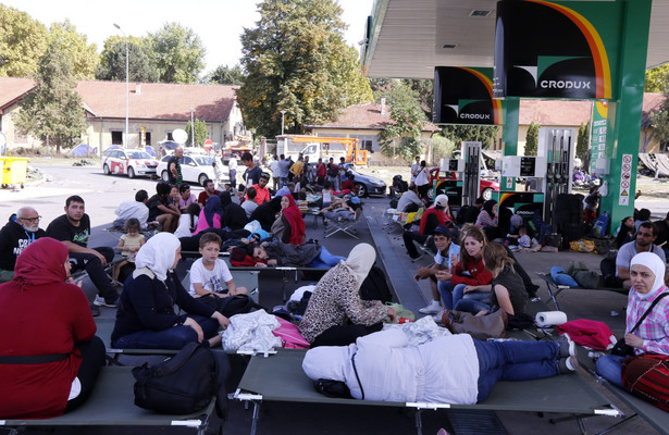 Rzeczniczka uważa, że Polska powinna być solidarna z krajami Zachodu, które zmagają się z kryzysem imigracyjnym