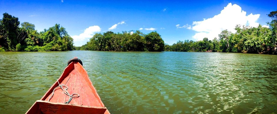 Amazonia to płuca świata