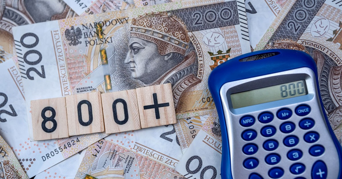 Не все знают об этом. Можно ли претендовать на 800 плюс для взрослого, обучающего ребенка?