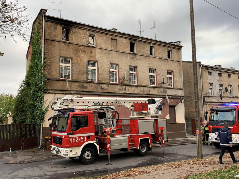 Płacz w Inowrocławiu. Ludzie przynoszą maskotki i znicze pod kamienicą