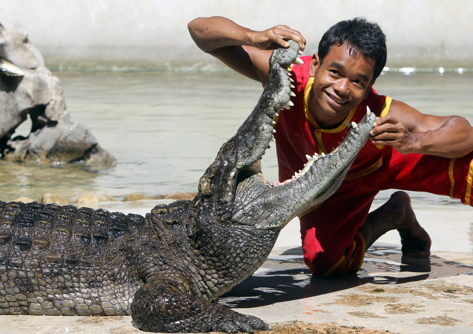 THAILAND ANIMALS