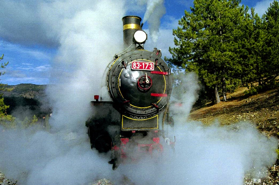 Gost iz Japana insistirao da se vozi sam i putuje u parnoj lokomotivi