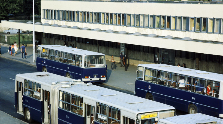 18 o ikarus 260 Fortepan  Záray Péter 