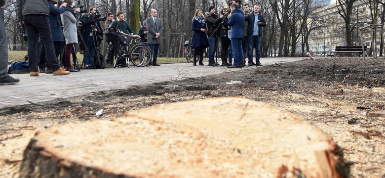 [NEWS] Prawo i Sprawiedliwość na ratunek drzewom. Co zmieni się w "lex Szyszko"?