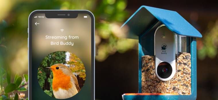 Bird Buddy: test inteligentnego karmnika dla ptaków, który rozpoznaje gatunki. Prawdziwa gratka dla miłośników pierzastych przyjaciół