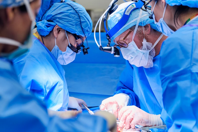 Hirurzi Krisila Jang i Robert Montgomeri pripremaju pacijentkinju Toanu Luni za transplantaciju svinjskog bubrega u bolnici u Njujorku 25. novembra