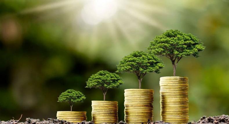 Banking industry sets out to reward green financing: How to participate/Courtesy