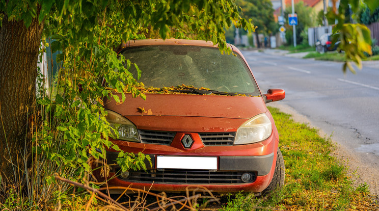 Vigyázzunk a fák nedveire, mert nagyon ráragadhat az autónk szélvédőjére/Fotó: Shutterstock