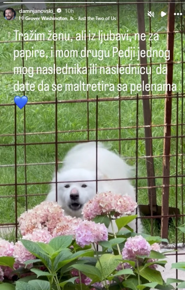 Peđa Damnjanović, objava na Instagramu