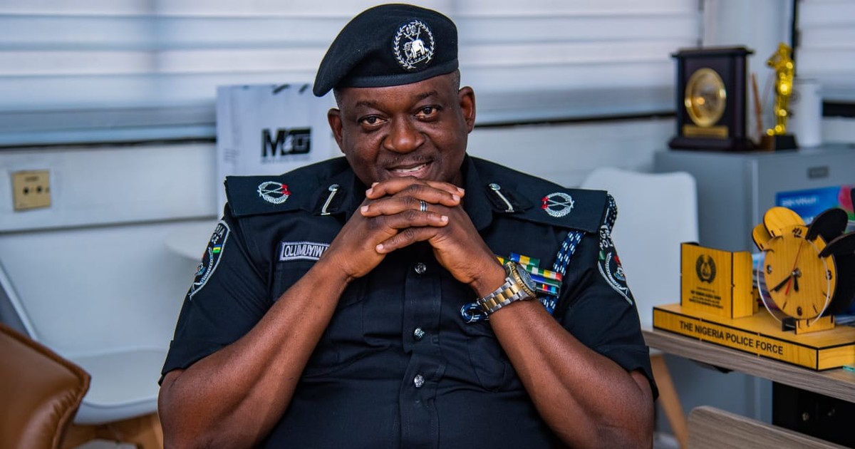 Spokesman warns Nigerians to stop operating fake police websites, apps - Vimarsana News