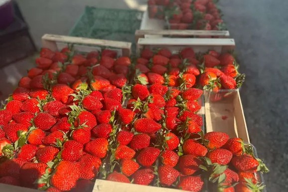 STIGLE PRVE JAGODE NA PIJACE U SRBIJI Cena PAPRENA, evo koliko košta 600 grama