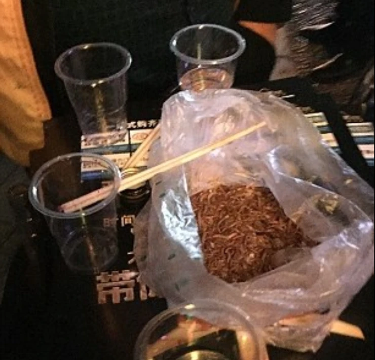 Rakija i crvi