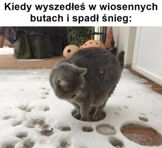 Najlepsze memy o wiośnie