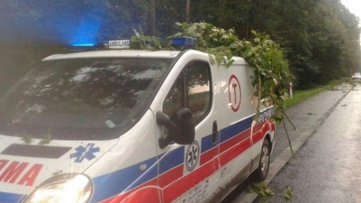 Drzewo uszkodziło dwa samochody na drodze krajowej 46. Konar spadł na auto osobowe oraz karetkę