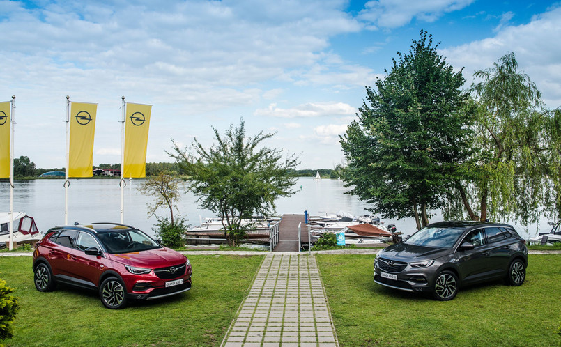 Opel czuje interes. Obecnie na Starym Kontynencie co piąte kupowane nowe auto należy do klasy kompaktowej. Grandland X będzie świeżą krwią na rynku