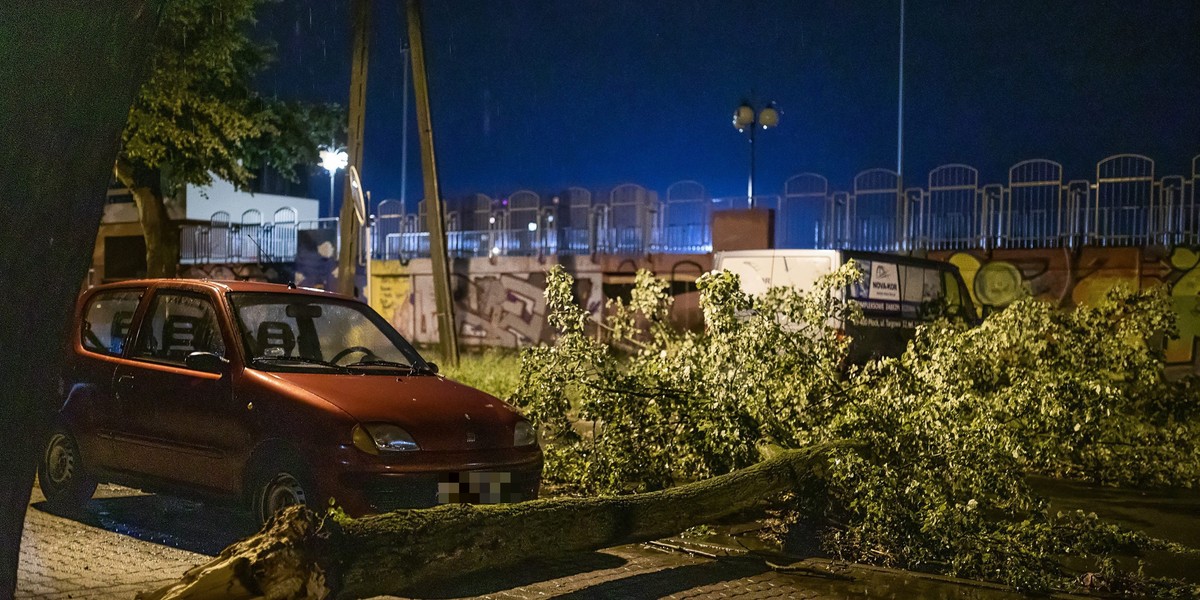 Wichura w Tatrach. Połamane drzewa i spory wzrost temperatury.