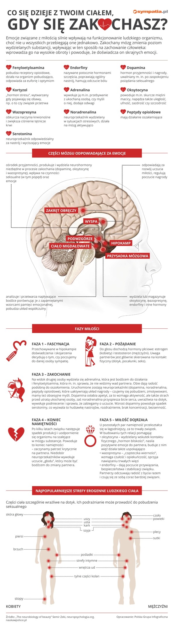 Co się dzieje z twoim ciałem, gdy się zakochasz? [infografika]