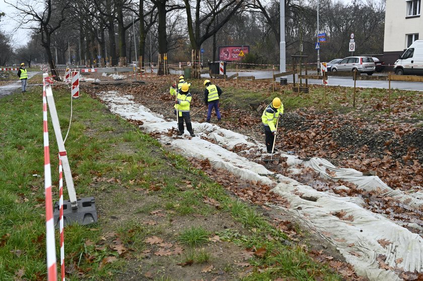 Ruszył remont zatrzymany przez drzewa