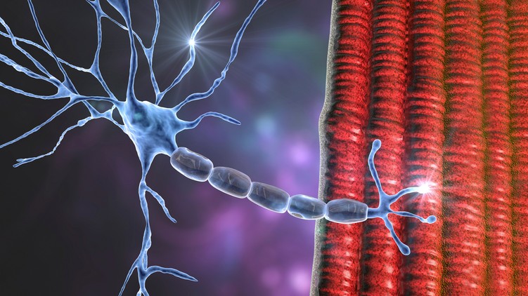Duchenne izomdisztrófia