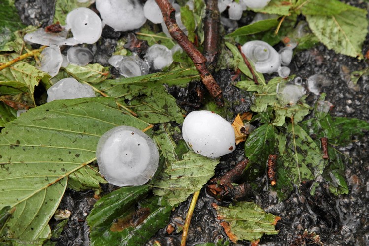 W Bukowinie Tatrzańskiej gwałtowna burza z gradem wyrządziła szkody głównie niszcząc samochody, drzewa owocowe i dachy pokryte eternitem