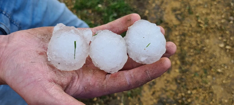 Led veličine jajeta
