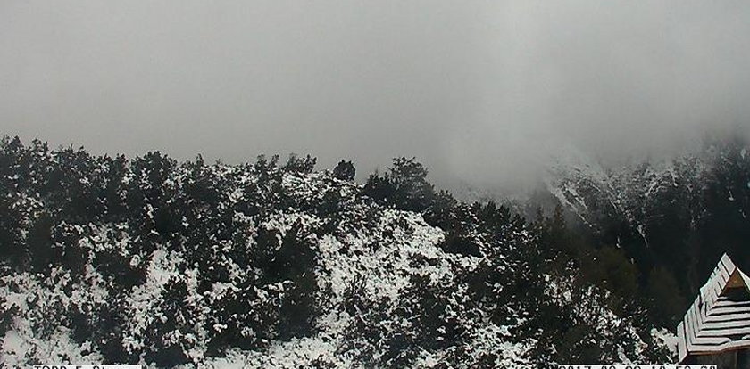 Gruba warstwa śniegu w Tatrach. Te zdjęcia podbijają internet