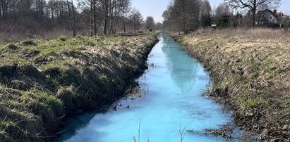 Rzeka na Mazurach zmieniła kolor. Burmistrz błaga o pomoc