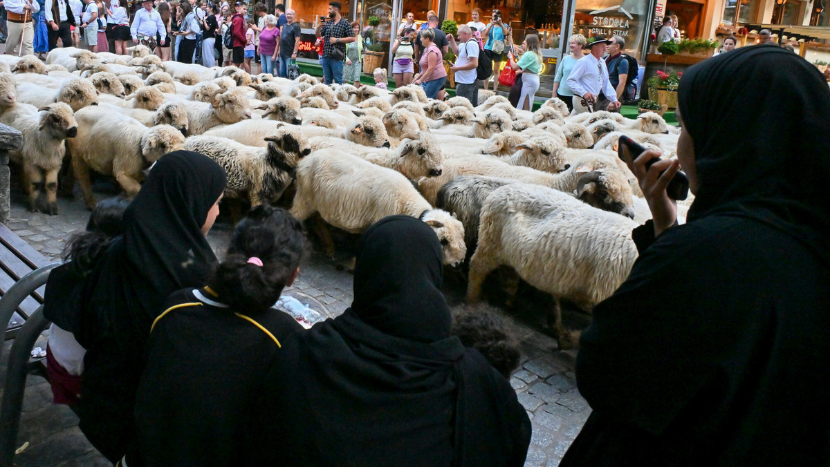 Nie tylko Niemcy, Czesi i Anglicy. Zagraniczni turyści zachwyceni Polską