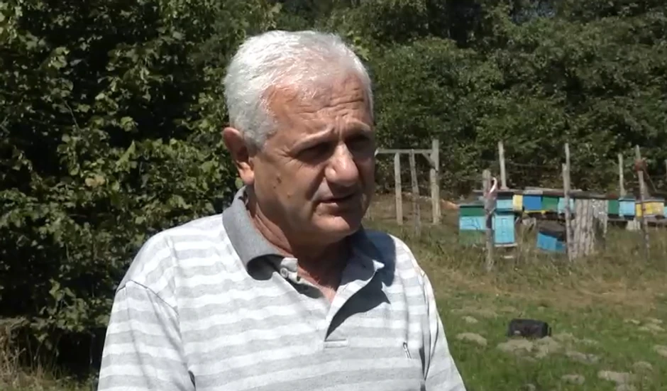 Medved uništio košnice pčela u Ivanjici