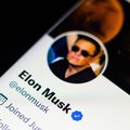 Musk ma problem z Twitterem. Oferuje 1 mln dol. nagrody za pomoc