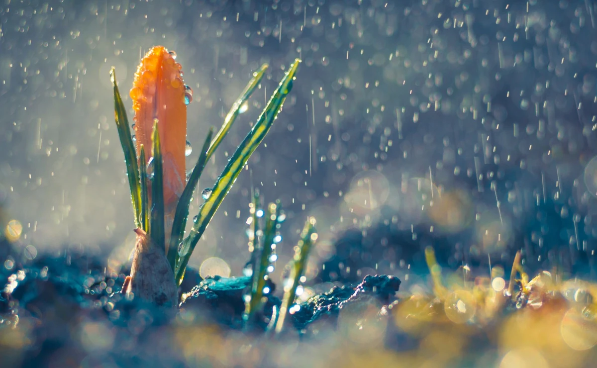 Ochłodzenie i deszcz prawie w całym kraju. Prognoza pogody na czwartek 22 maja 2025 roku