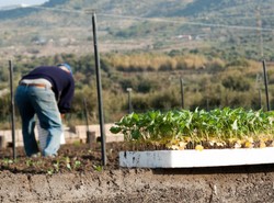 Polskie obozy pracy dla Ukraińców