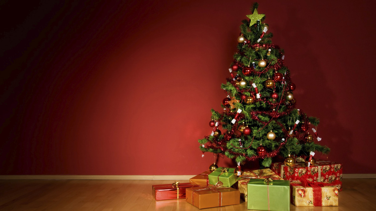 Mieszkanka Anglii zebrała przed tegorocznym Bożym Narodzeniem 150 sztucznych choinek, by rozdać je osobom, których nie stać na kupno drzewka. W ten sposób chce odwdzięczyć się za gest sprzed lat, gdy choinkę, na którą nie miała pieniędzy, podarował jej sąsiad.