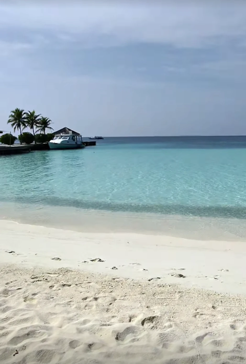 Saša Kovačević, objava