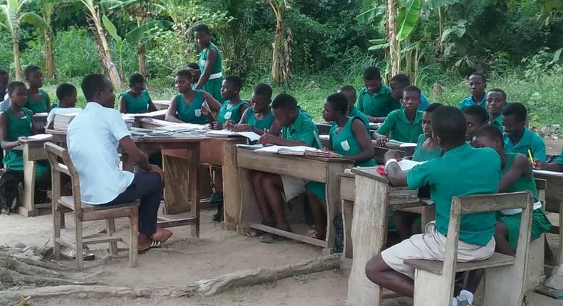 Students under trees (File photo)