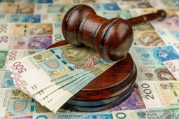 celowe „głodzenie” krajowej rady sądownictwa i tk? w sprawie wypowie s