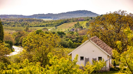 Sokak kedvence a Casa Christa Agriturismo - Exkluzív birtokká vált a balatoni szerelem présház