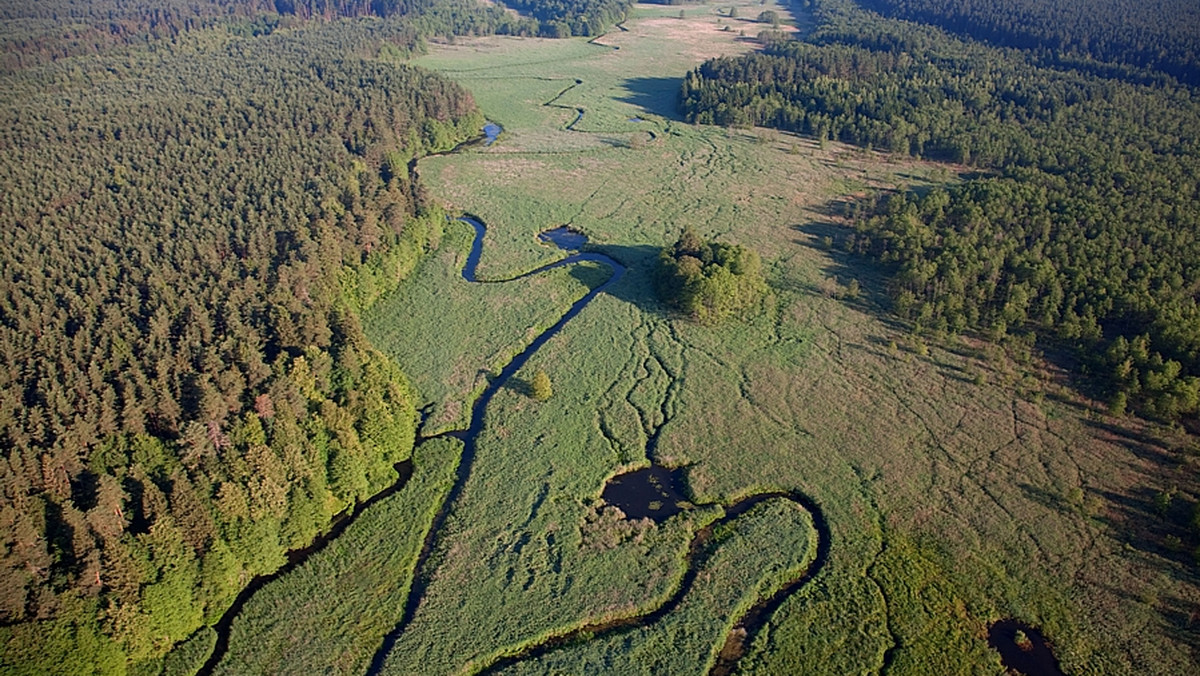 Młodzież, wędkarze, leśnicy i harcerze wzięli w sobotę udział w sprzątaniu terenów wokół rzeki Rospuda. Według wstępnych obliczeń zebrano ok. 2 ton śmieci - poinformował PAP Marcin Halicki z Gminnego Ośrodka Kultury w Raczkach (Podlaskie).