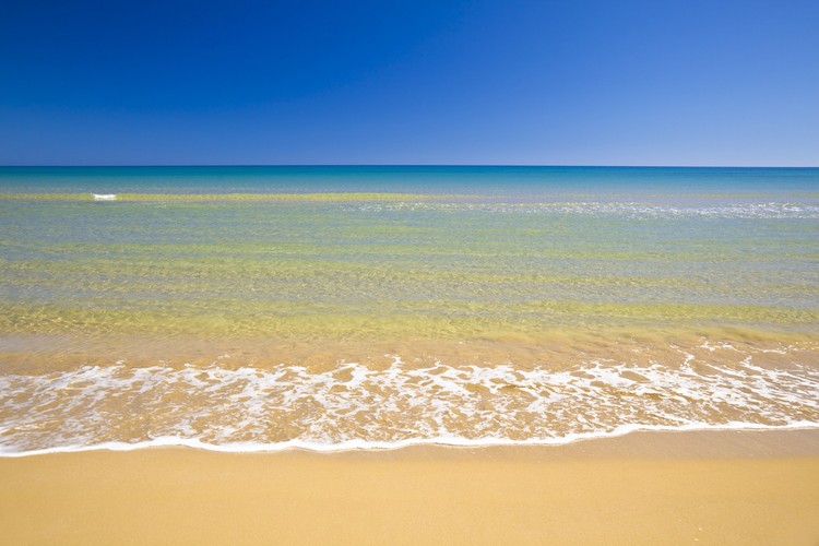 <b>Torre Salsa – biała plaża nie tylko dla żółwi</b>
<br>
<br>
Torre Salsa, pomimo tego, że jest jedną z najpiękniejszych plaż Sycylii, wciąż jest nieco zapomniana, a przez to bardzo spokojna i zaciszna. Plaża i otaczający ją rezerwat przyrody, zarządzany przez World Wildlife Fund, położone są w połowie drogi między Sciacca i Agrigento, na południe od miasteczka Montallegro. Obszar chroniony obejmuje ponad 760 hektarów dziewiczego wybrzeża i około 6 km wspaniałych piaszczystych plaż. Okoliczne wzgórza, potoki, kredowe klify, pola uprawne i mokradła, stanowią doskonałe naturalne środowisko dla licznych gatunków zwierząt i ptaków, a specjalnie wyznaczone szlaki pozwalają odkryć najbardziej malownicze zakątki. 
<br>
<br>
Spacerując wzdłuż plaży, można spotkać żółwie z gatunku caretta caretta, które to szczególnie upodobały sobie to miejsce i co roku przybywają składać tu jaja. Na szczęście plaża jest niemal bezludna, więc nic nie zakłóca ich spokoju. Na sześciokilometrowym odcinku nieskazitelnego piasku, bez problemu znajdziemy zaciszne miejsce, tylko dla siebie, w którym będziemy mogli zachwycać się przejrzystością wód we wszystkich odcieniach błękitu. Torre Salsa docenią też nurkowie i miłośnicy snurkowania – dzięki prądom morskim, spotkać tu można ryby z całego Morza Śródziemnego.