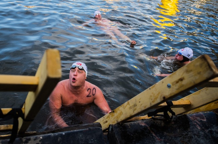 CZESKIE MORSY KĄPIĄ SIĘ W WEŁTAWIE