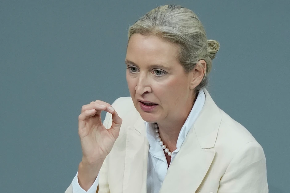 Koliderka AfD-a Alis Vajdel