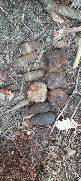 Niewybuchy znalezione przez leśnika we wsi Podlodów