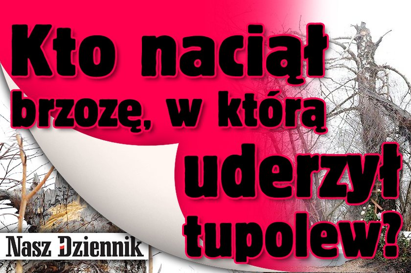 Nacięli brzozę, w którą uderzył tupolew?