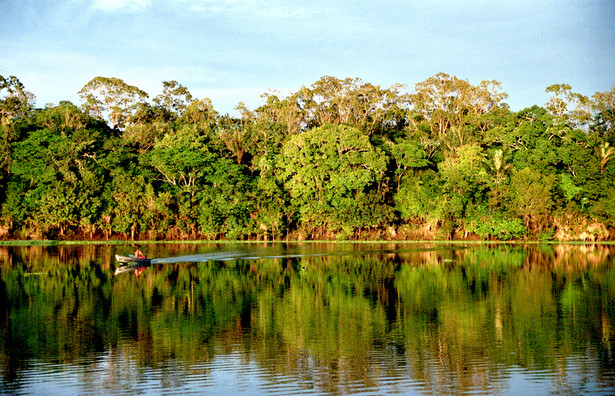 Amazonka, fot. flickr/Andre Deak