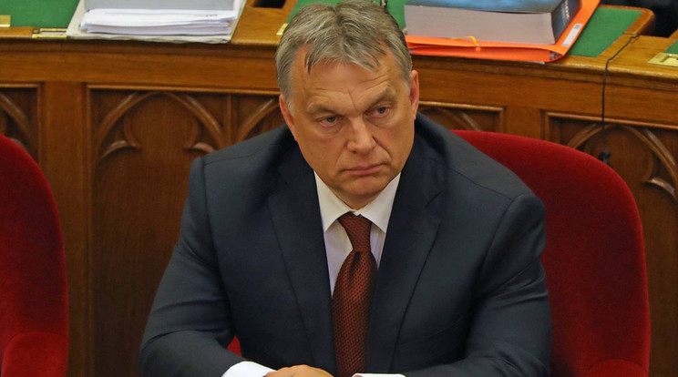 Orbán Viktor / Fotó: Grnák László