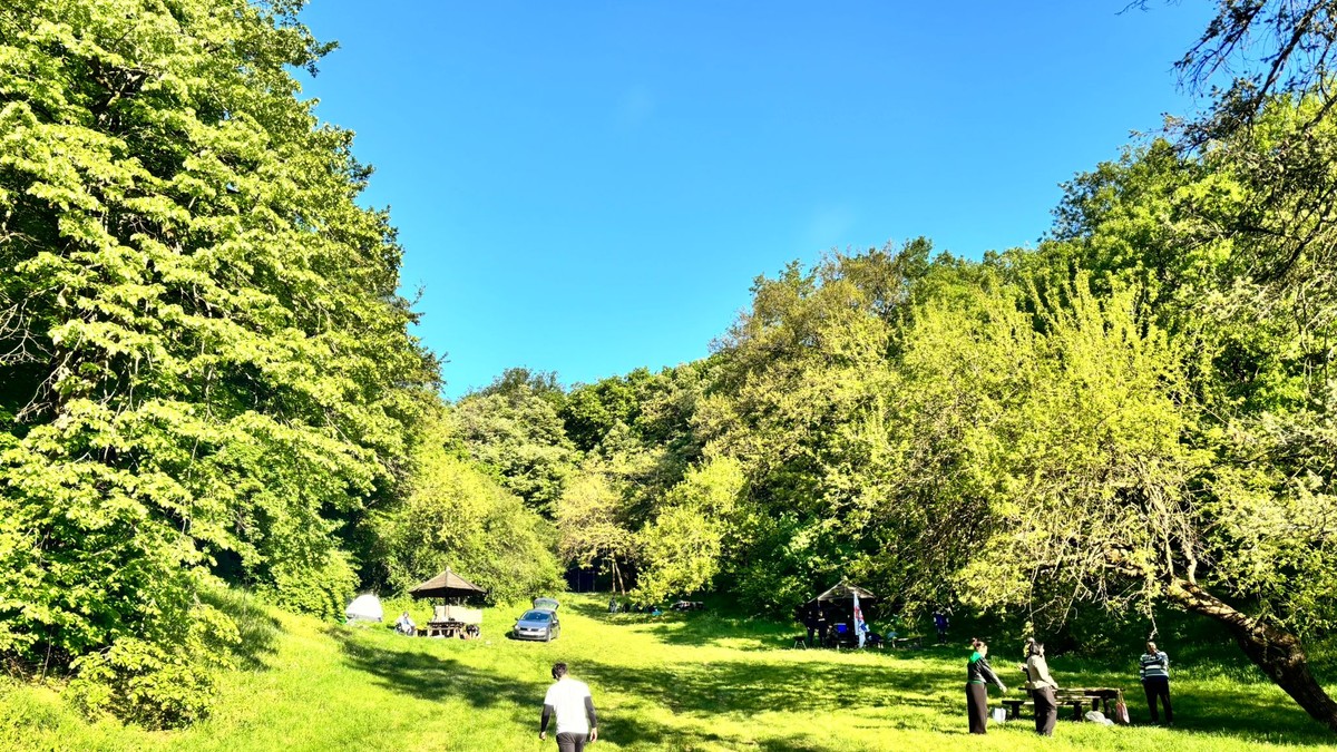 Košutnjak 