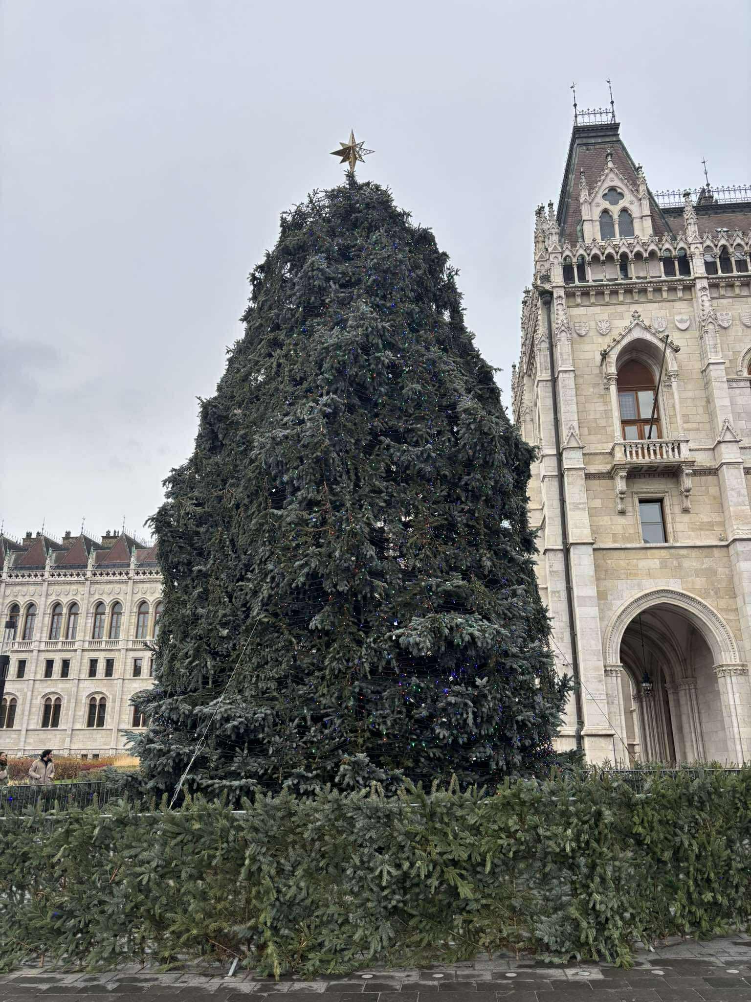 Vianočný stromček pred budovou maďarského parlamentu. 