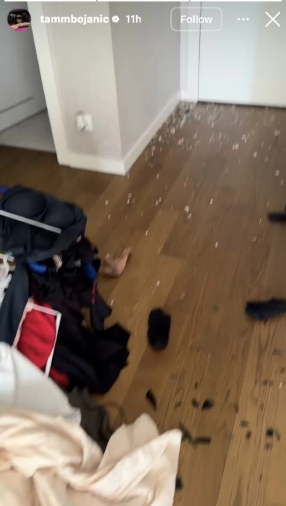 Tamara pokazala stan