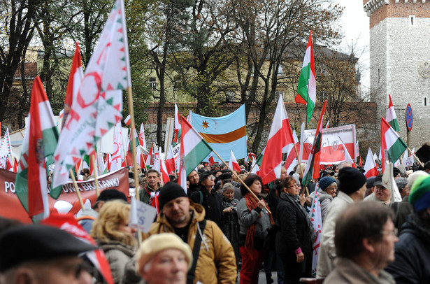 Święto Niepodległości w Krakowie. "Całe zło to PO"